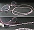 Cordon lunettes bijou parme