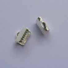 Puntali a morsetto argento 10 mm x 2